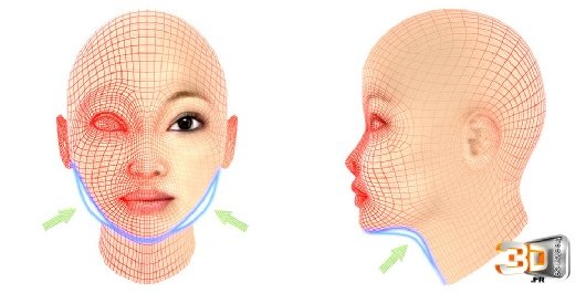 Modélisation d'un visage en 3D | Crème Liftante Clarins