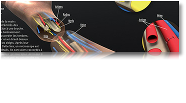 Graphiste 3D Freelance Médical, Technique et Scientifique