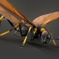Illustration 3D d'insectes en 3D