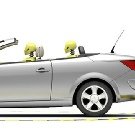 Film 3D Les arceaux de sécurité sur Megane